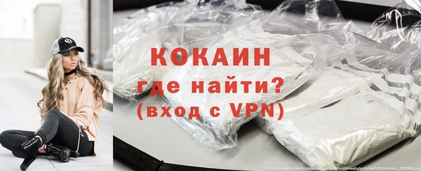 прущие грибы Горно-Алтайск