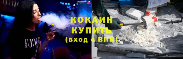 круглые Гусев