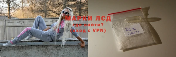 прущие грибы Горно-Алтайск