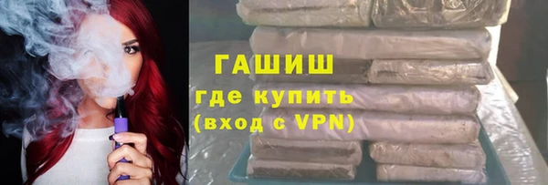 прущие грибы Горно-Алтайск