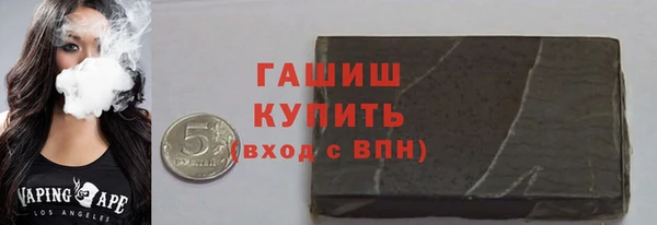 прущие грибы Горно-Алтайск
