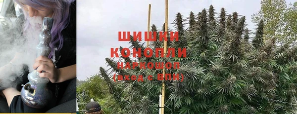 прущие грибы Горно-Алтайск