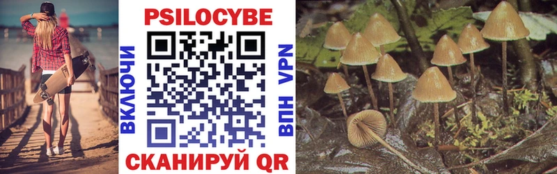 Галлюциногенные грибы Psilocybe  Купить  Красноярск 